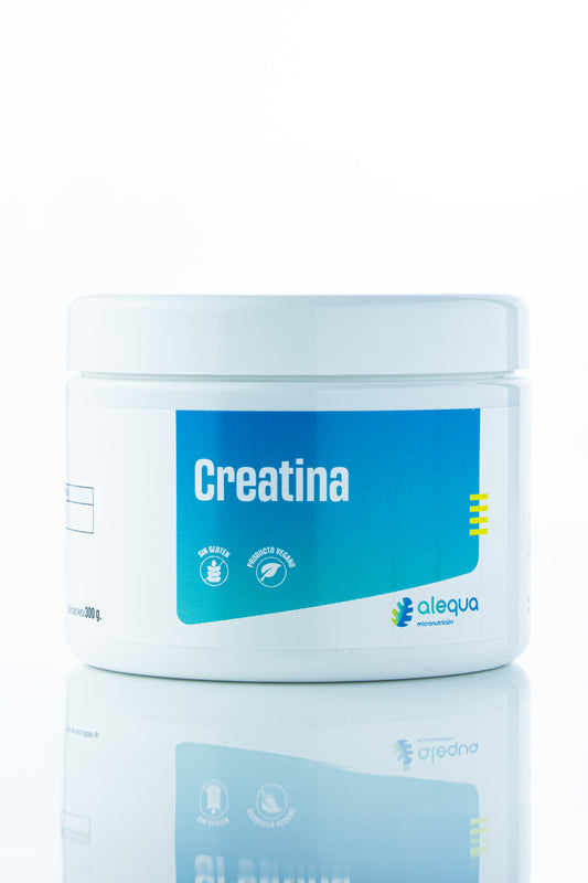 Creatina Monohidrato 300g